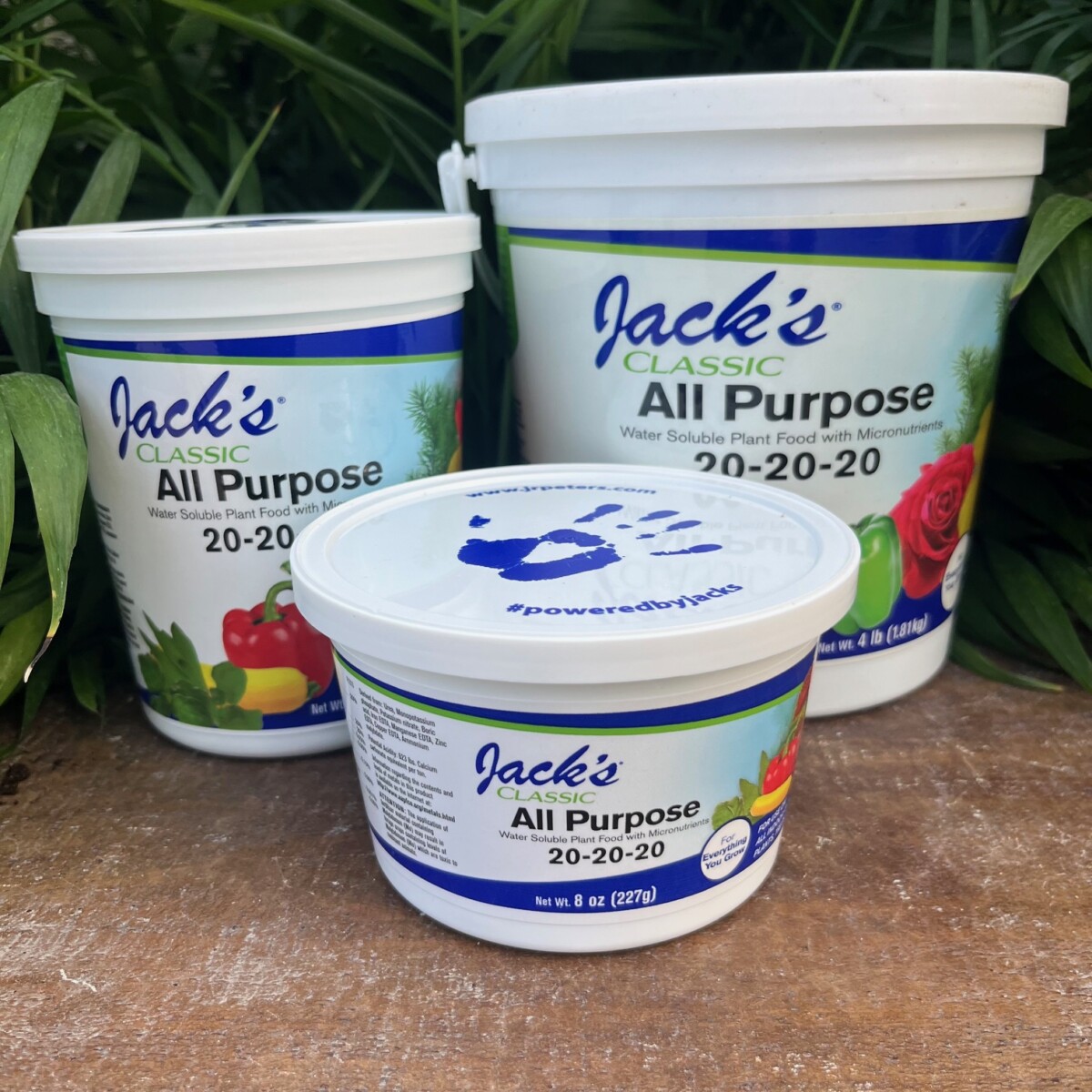 Jack's All Purpose 20-20-20 - Klein's Floral & Greenhouses