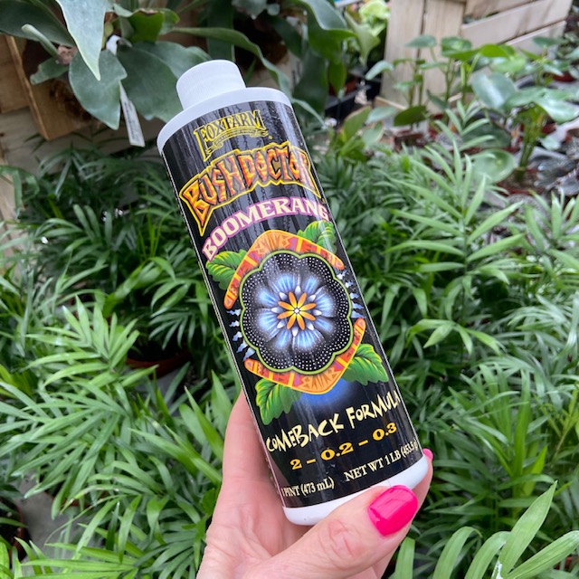 Foxfarm Bush Doctor Boomerang - Klein's Floral & Greenhouses