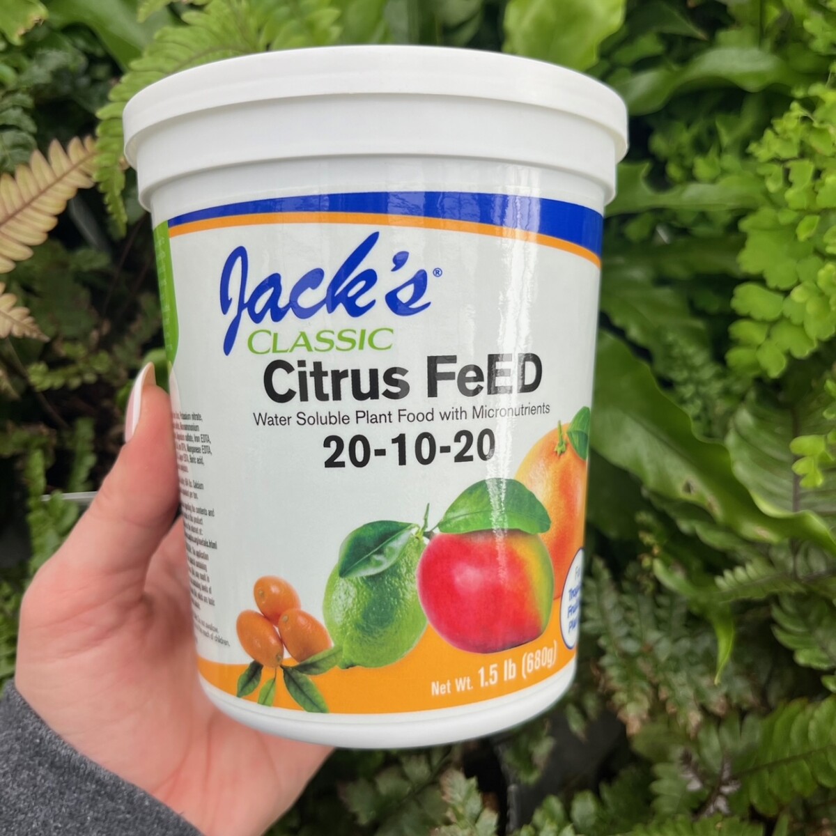 Jack's Citrus FeED 20-10-20 - Klein's Floral & Greenhouses
