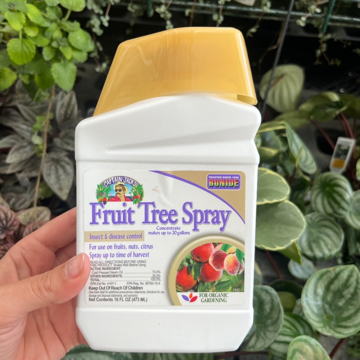 Bonide Fruit Tree Spray Concentrate - Klein's Floral & Greenhouses