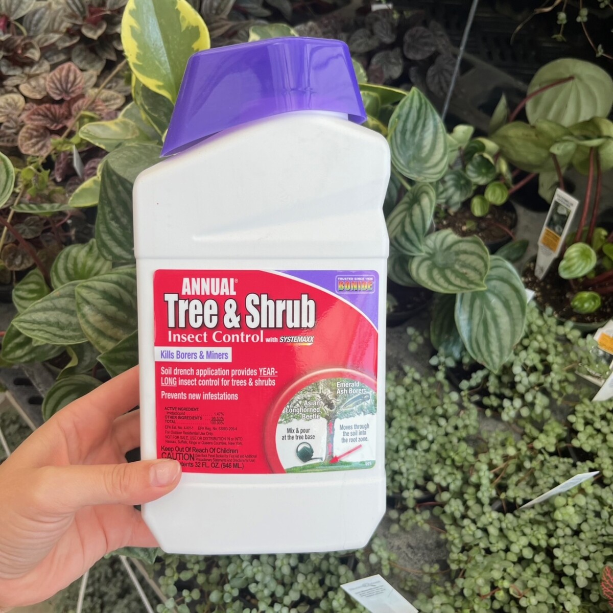 Shrubb Insect Bonide Annual Tree & Shrub Insect Control 32 oz - Klein's Floral ...