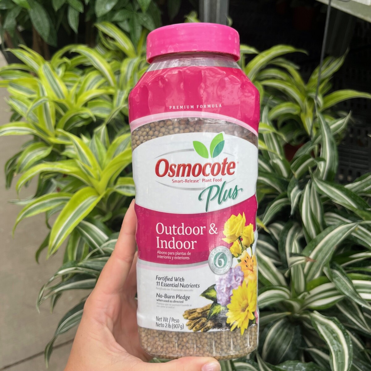Osmocote Outdoor & Indoor Fertilizer 2# - Klein's Floral & Greenhouses